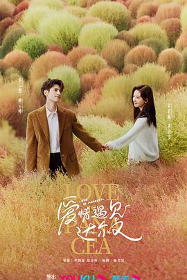 个人如何做网站优化服务